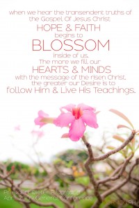 Hope and Faith through Jesus Christ