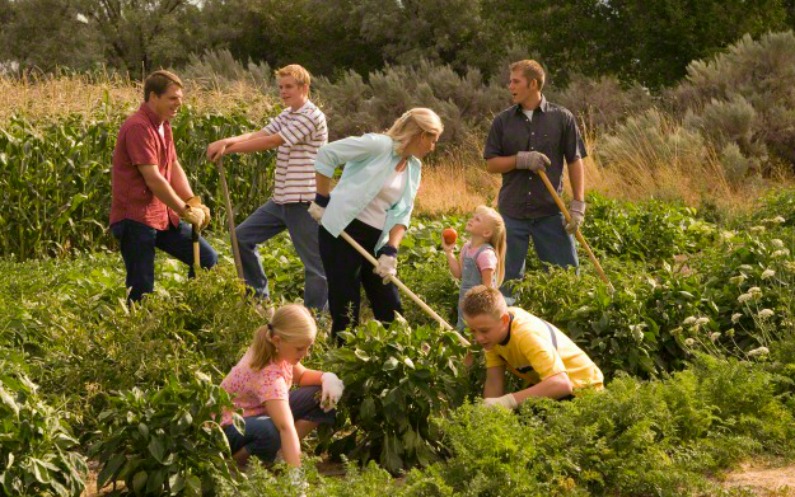 Diligence shown through family gardening