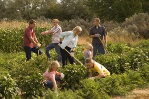 family diligently working together in the garden
