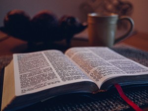 scripture reading