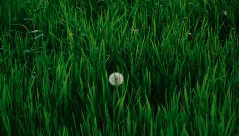 We can bloom in the midst of fear.